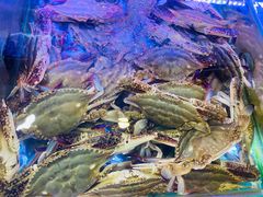 -金海湾海鲜排档(朱家尖店)