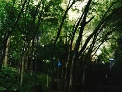 -雨花台烈士纪念馆