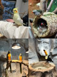 -Zoolung Zoolung动物主题公园(海信广场店)