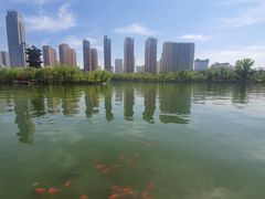 -迎泽公园