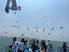 -海驴岛(荣成市)