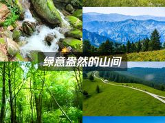 -驼梁风景区