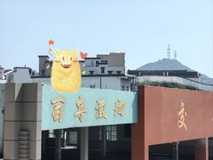 -枸杞岛