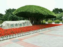 -南宁南湖公园