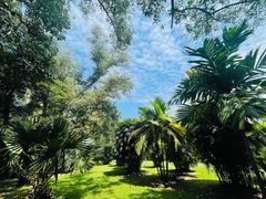 -中国科学院西双版纳热带植物园