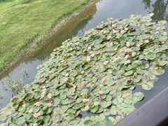 -状元人家·公园别墅衡东土菜(溪悦荟店)