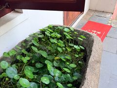 -长春观