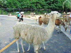 -大连森林动物园