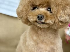 -爱派特动物医院·全科诊疗中心