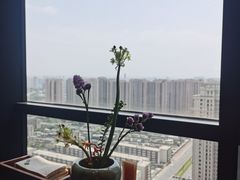 -敦煌神画 (三十三城店)