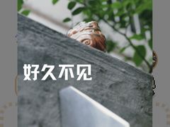 -怪 kafe.