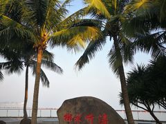 -万绿园