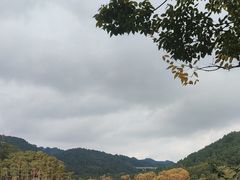 -黔灵山公园
