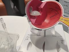 -西安普瑞眼科医院·近视手术·视力防控