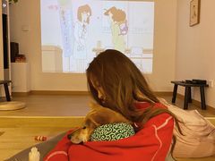 -南京Hallo宠物乐园·哈罗犬舍·柴犬繁育基地