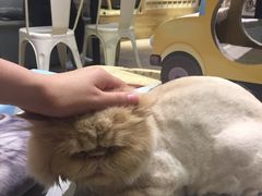 -小时光咖啡馆(开森度假森林店)