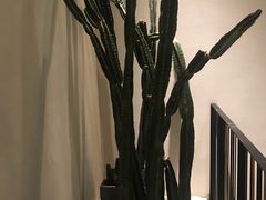 -大树餐厅(红旗街万达店)