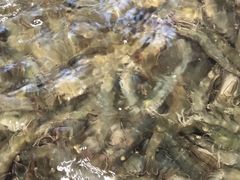 -大锅强·蒸海鲜青岛菜(吾悦广场店)