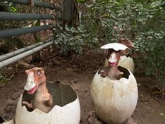 -呀路古热带植物园