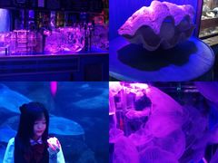 -左海海底世界