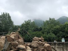 -西安秦岭野生动物园