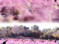 -北京奥林匹克公园