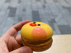 -Seesaw Coffee(深圳深业上城店)