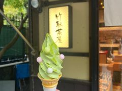 -岚山嵯峨野观光小火车