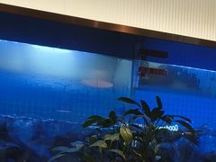 -老板恋上鱼(印象城店)