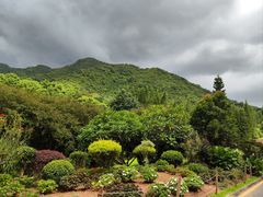 -深圳仙湖植物园