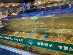 水产区-圣罗巴海鲜自助(黑金店)