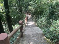 -藏龙百瀑风景区