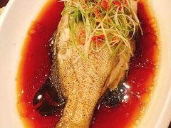 -外滩1288花园丽舍