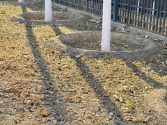 -永定河休闲森林公园