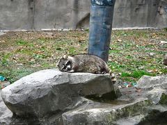 -上海野生动物园