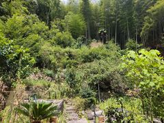 -花溪风景区