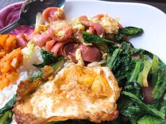 油麦菜-中山大学东校区-学生第2食堂