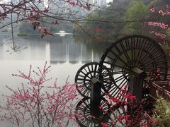 -重庆彩云湖湿地公园