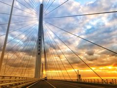 -上海崇明金茂凯悦酒店