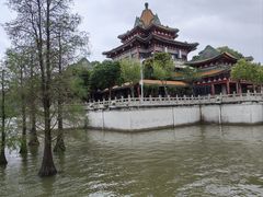 -顺峰山公园