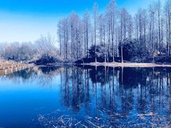 -西溪国家湿地公园