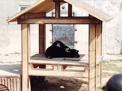 -石家庄市动物园