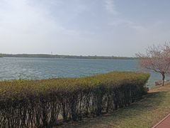 -丁香湖公园