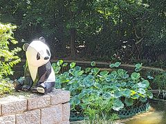 -九龙公园