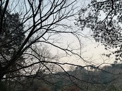 -雨花胜境