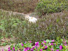 -晓港公园