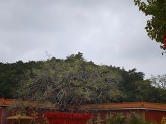 -广州莲花山旅游区