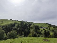 -新疆那拉提国家旅游度假区