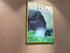 -菌之家·专业纯野生菌火锅·特色炒菌