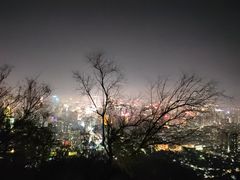 -兰山公园